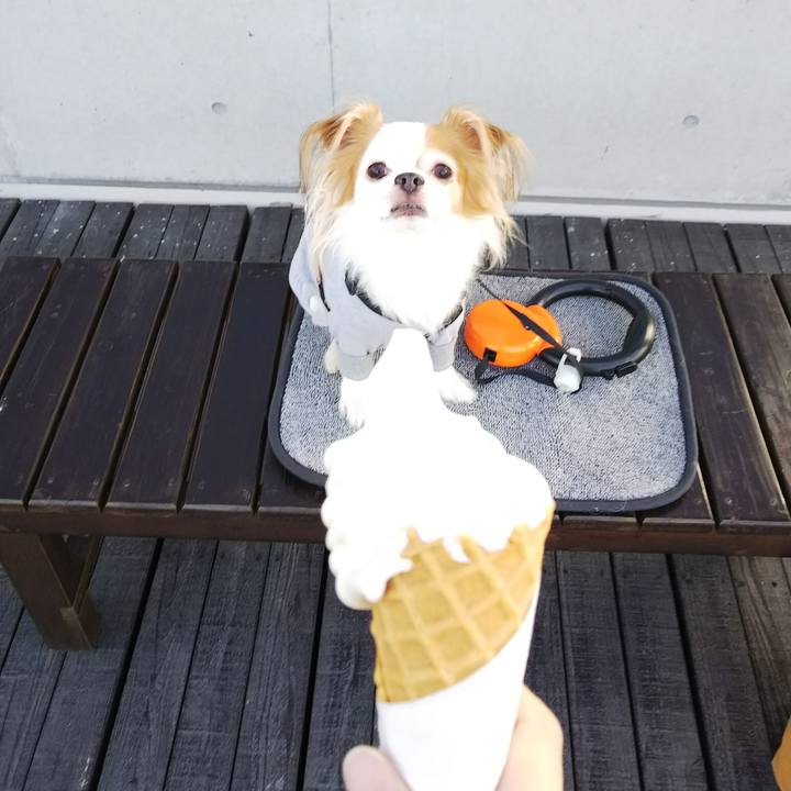 4b25305b 2d33 414d 8d38 9bb351e1e684