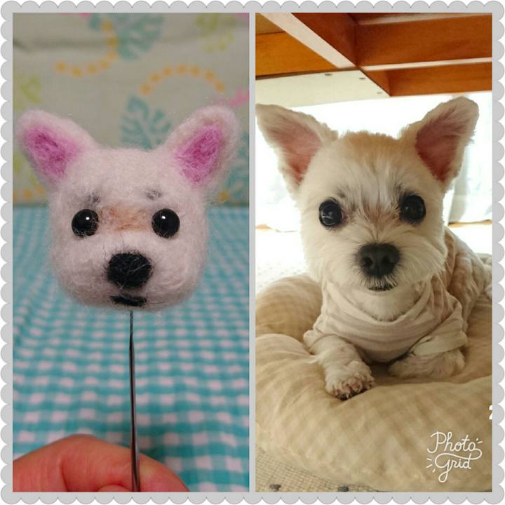 4b254e89 d2ac 4003 bcef 7ee4b46554ac