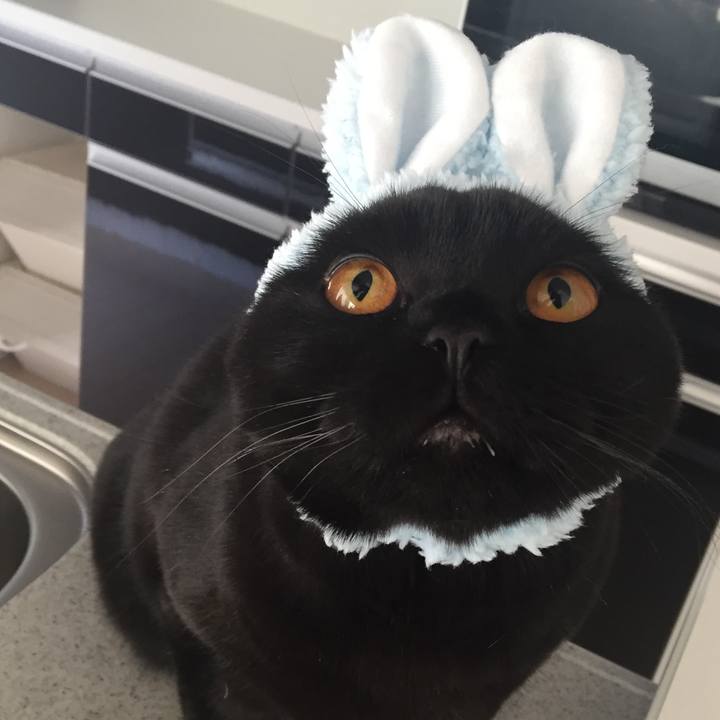 4b257182 3c63 4a00 9c2e 165a25d1aa17