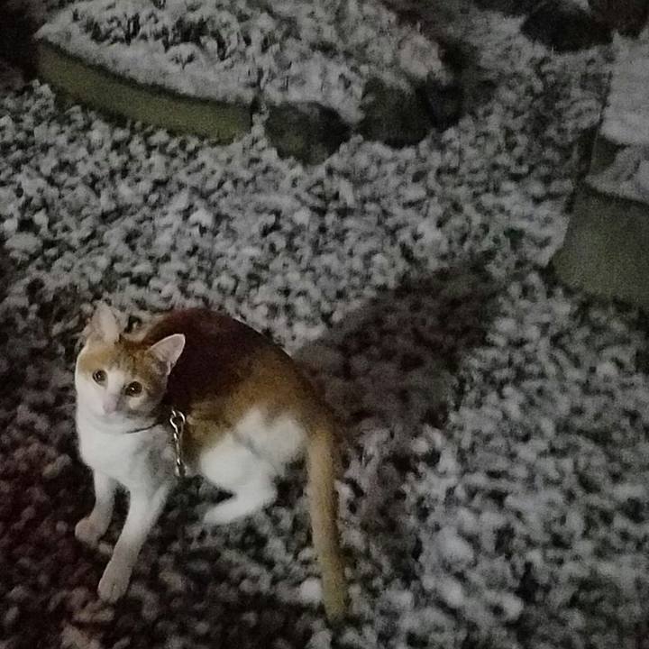 4b25e3ad 6cc7 4100 a9f4 eefb40c4d0c8