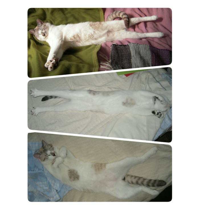 4b25edca b411 4167 bf18 a3b503827404