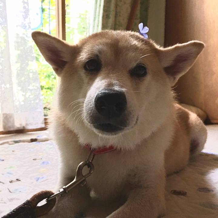 4b26e8a4 6f89 4740 8ad7 c6653bc292a2