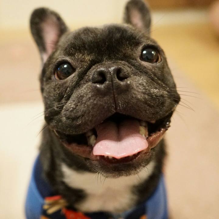 4b26fa85 312b 4e0e 86a0 14ae25261b10