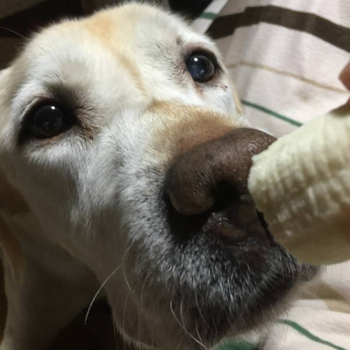 4b271de4 1d07 4e64 b2e5 7e71ee4597fd