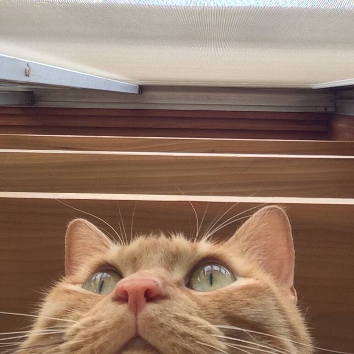 4b279f07 0260 4894 85d2 58de86f74ec6