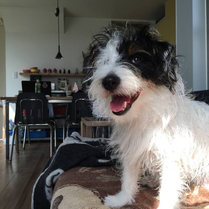 4b294da8 8281 4a87 8104 b06ea6d4952b