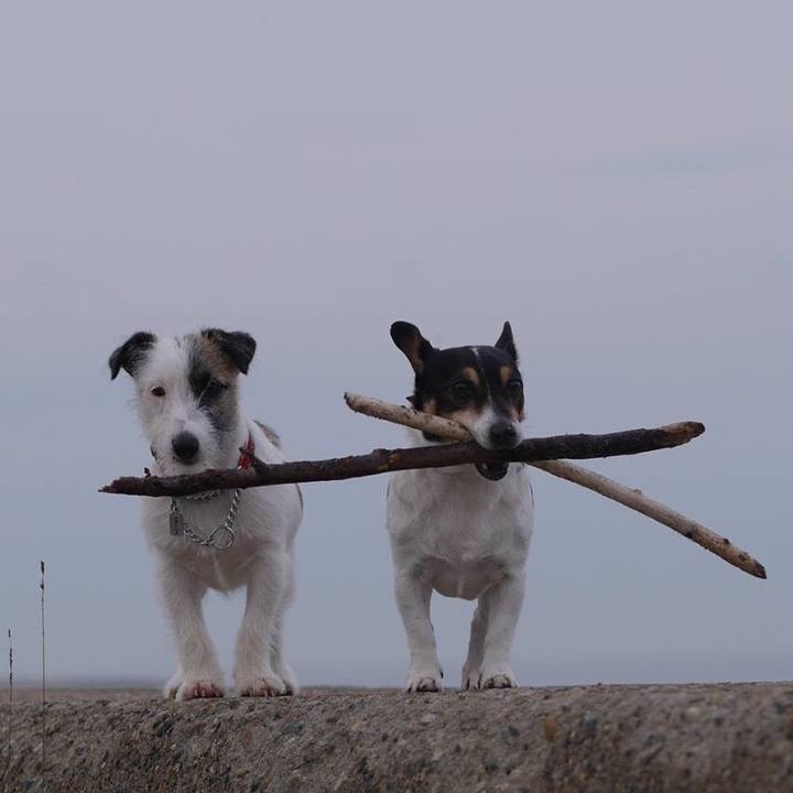 4b295018 bcac 47ac b35d ce8b48a54af5