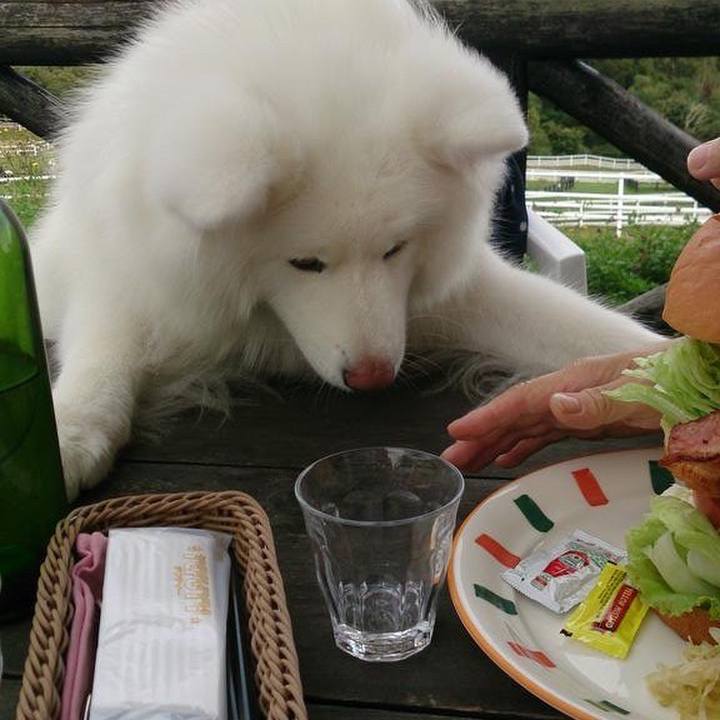 4b29b820 1e35 4e9d 99c5 da6b77e379c7