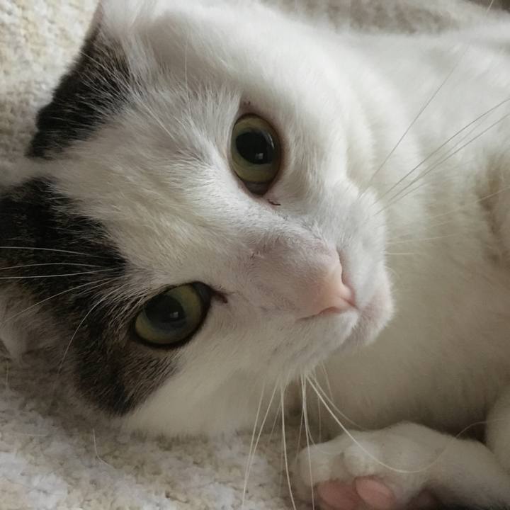 4b29d66d f412 47b9 b889 b93572b92bd3