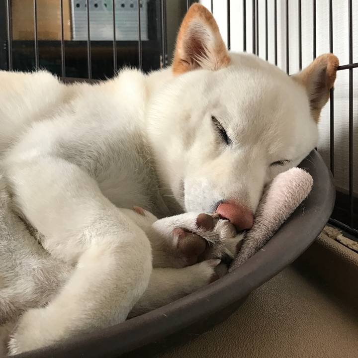 4b2b01ce 1e59 41c1 adf6 747d58bd43b7