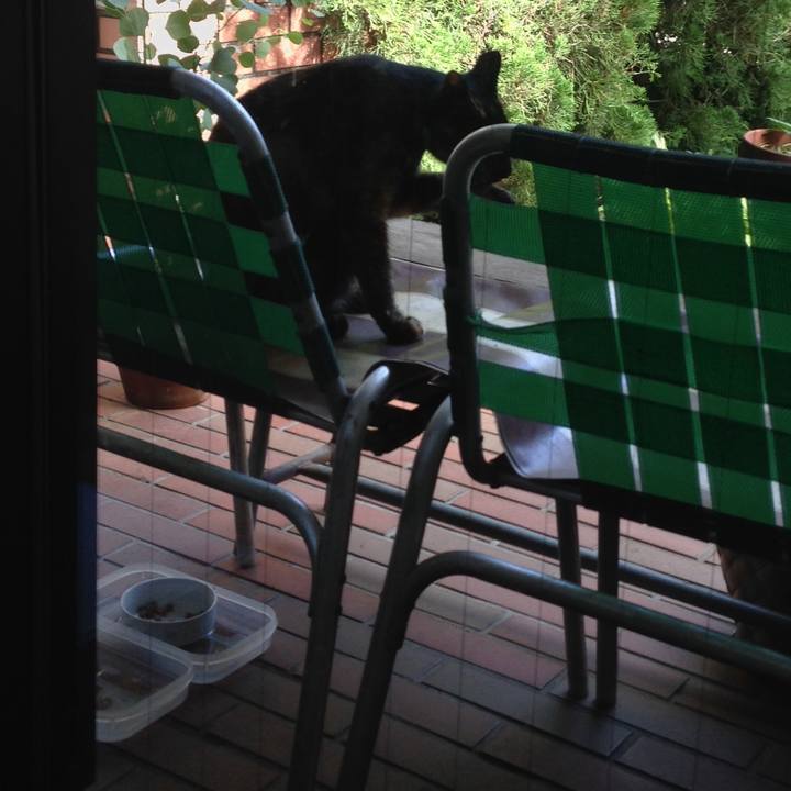 4b2bcb54 2e8c 4439 bead 7017ea86155c