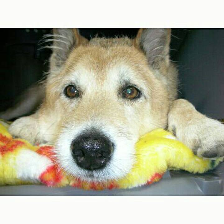 4b2c3b63 c163 430f b8cf 5ff1a103c709