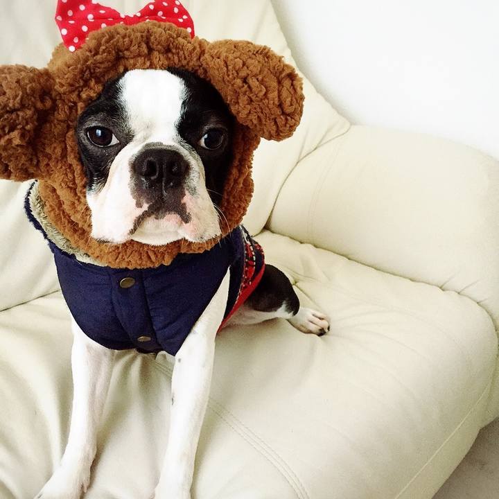 4b2cb4ea dcab 4373 bdc0 ee3599b4c9f0