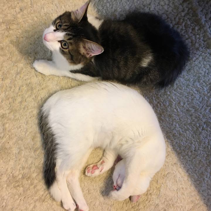 4b2cdc92 3f93 423e 891a 9cf38695c4cf