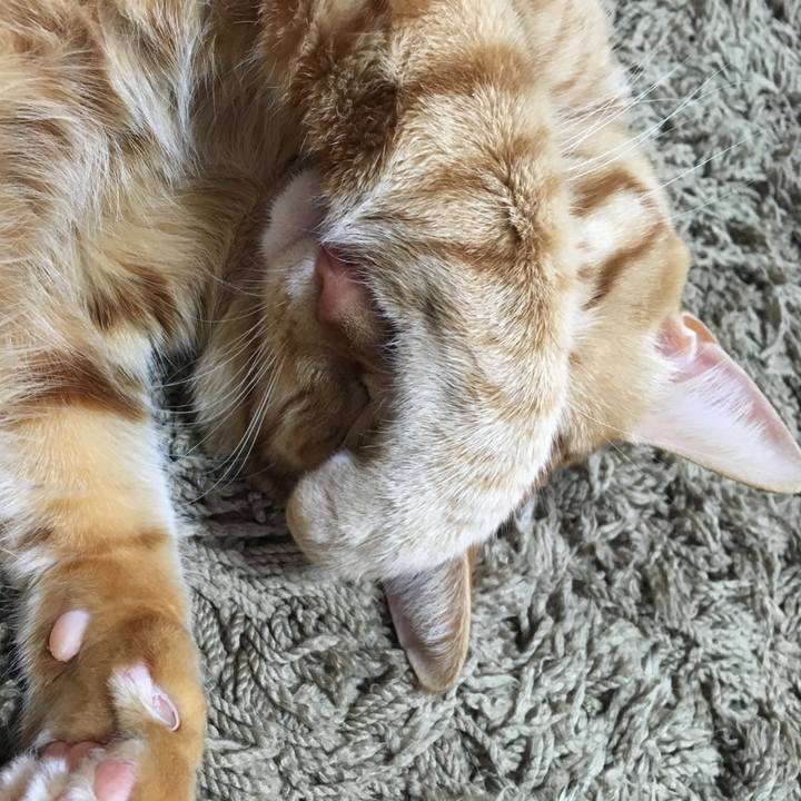 4b2ce3ff 481f 4ee9 8e53 5867adb84aad