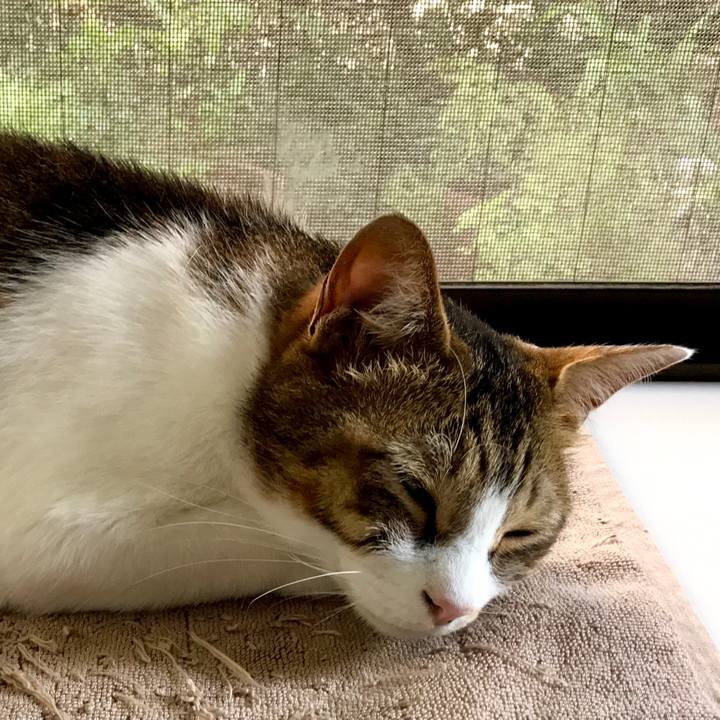 4b2d7d43 ea5d 4d17 b22e b6fd9d6f45f6