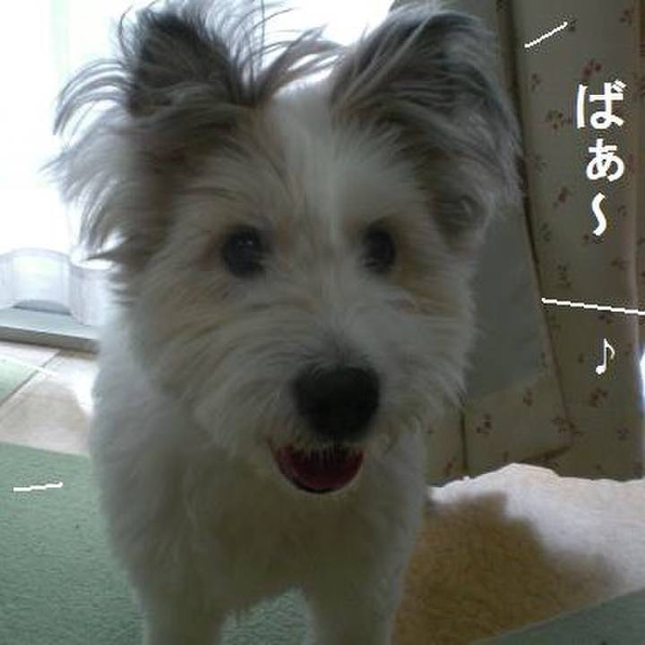 4b2da69e 83f3 4df0 a21b 6bb3e535a2d9