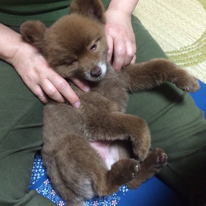 4b2e2869 3524 4f78 9722 341bcac2fa5d