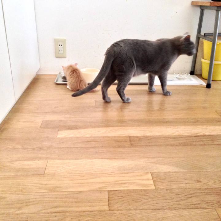 4b2e413f b3d9 4792 8b92 77d87ef15ac0