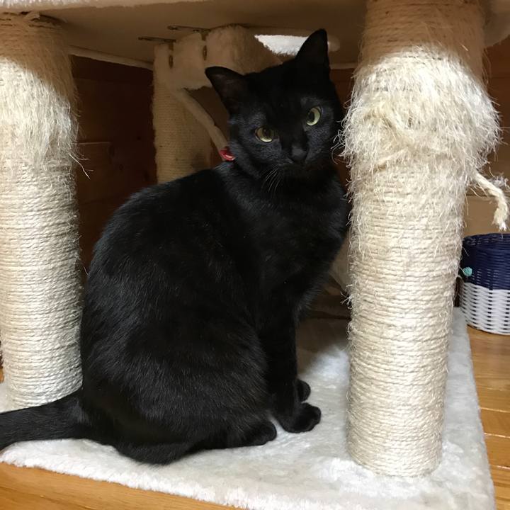 4b2e6c6e d3ff 4205 a91a 8dbd50d48633