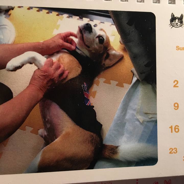 4b2e742a a99b 427e a3a4 01e09a9d584a