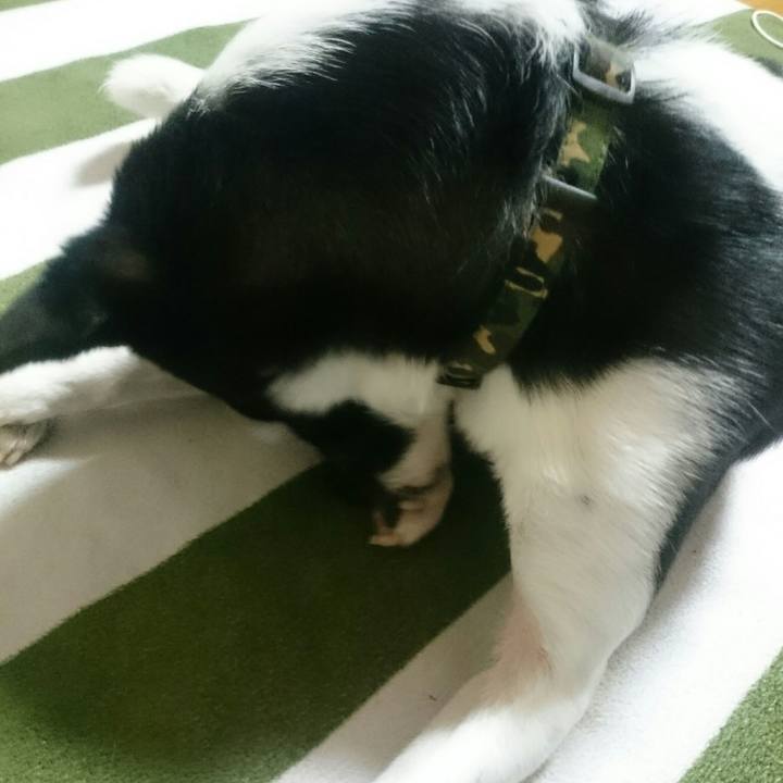 4b2f26ae 5ae7 4e8c 8377 2ea63936973a