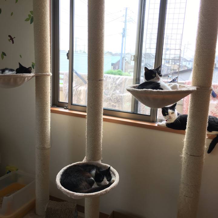 4b2f2d49 62e0 4473 8b25 0b8dc688825e