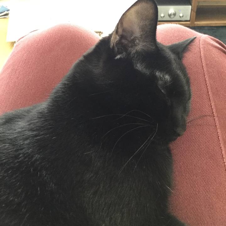 4b2f7d8c 37f6 4f12 a095 3e9648babc28