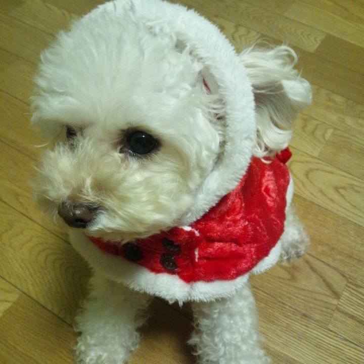 4b3095b7 2eb9 4062 9447 5777ca0f2c39