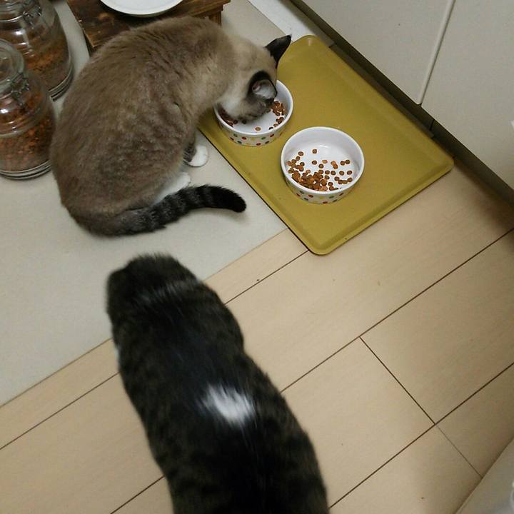 4b30deeb 5e8a 48b1 bd04 0ff369ac1873