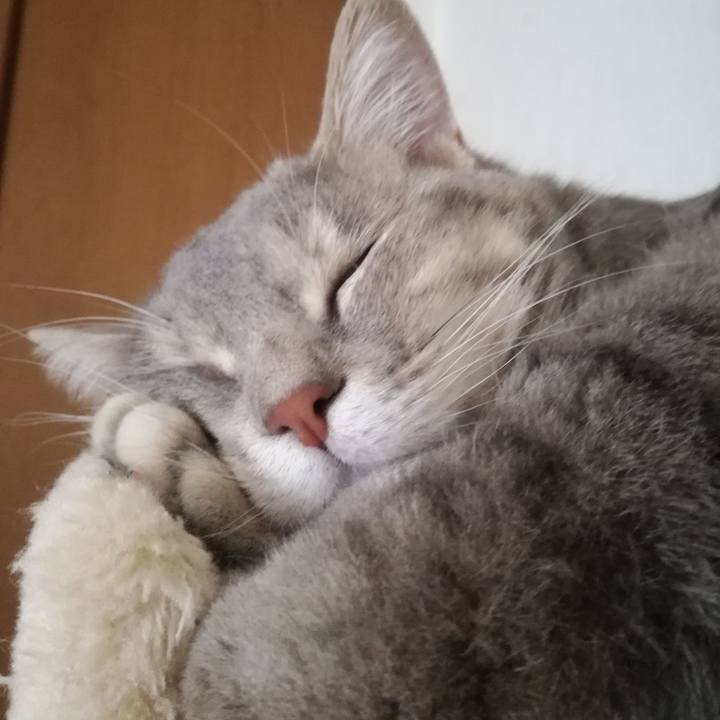 4b31209e 8017 4b12 9e1e 80cc2f5a529c