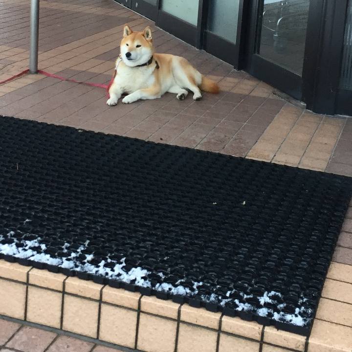 4b314d6f dd2f 47f5 92bc 2a67ab488145