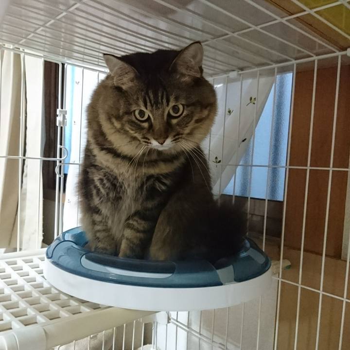 4b31b879 e8fa 4964 aaa7 c6decde1fd8f