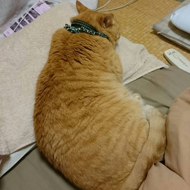 4b31d501 2053 4fb2 94dd c796839f0310