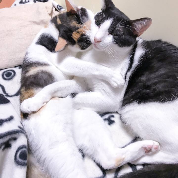 4b322902 2019 4a61 a1eb 65511a6c5545