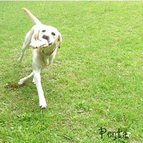 4b326912 e837 46d0 bbea 12789333746d