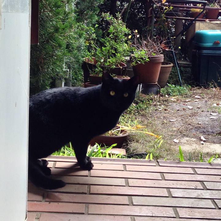 4b3282f8 acb6 4ab7 8bcd b3bc9522cc7c