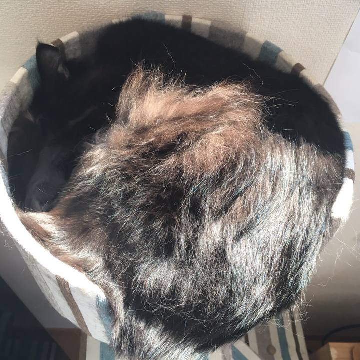 4b32a63f 6c0f 4639 9fd8 34c0a6977ca6