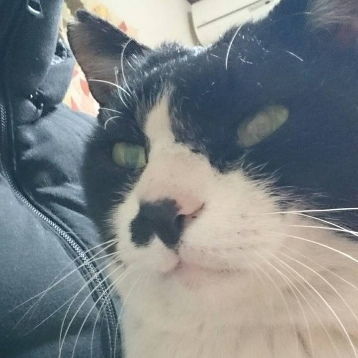 4b33177d fd68 43ce 88dc f5688a2441d3