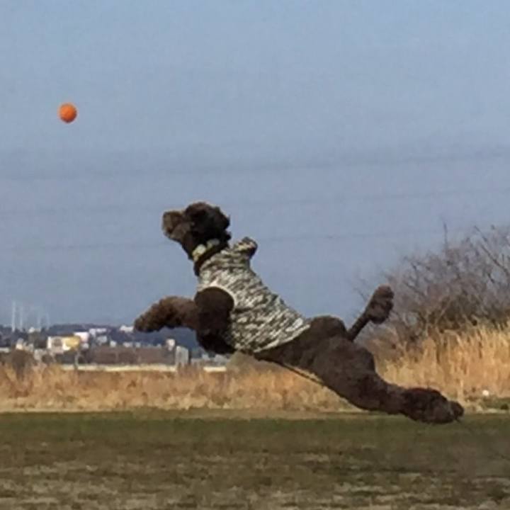 4b33823e 62d5 49fd 9f28 abe6b788e5cf