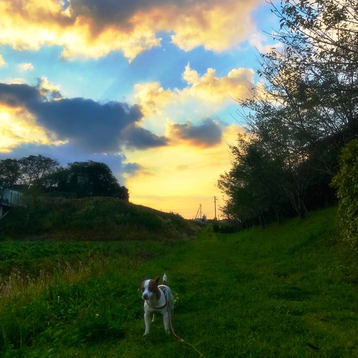 4b341198 0f5b 4e6a 9d77 32679529803c