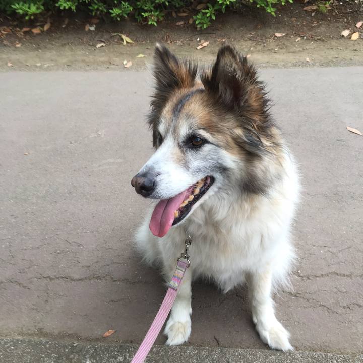 4b3498d6 46a0 402c a247 197f4bcfbd36