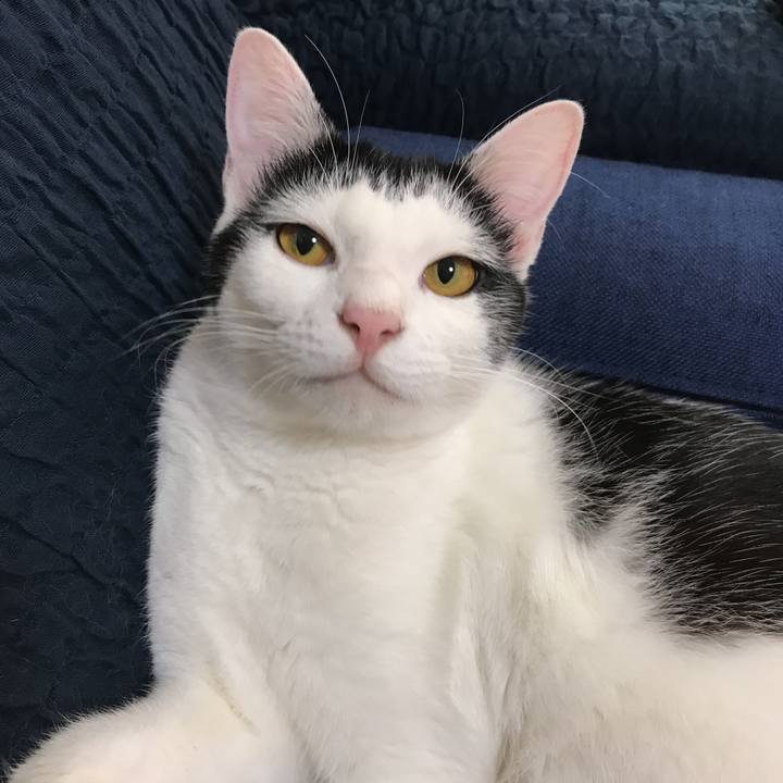 4b34c67b 7340 465e 8325 842dc6fe12f1