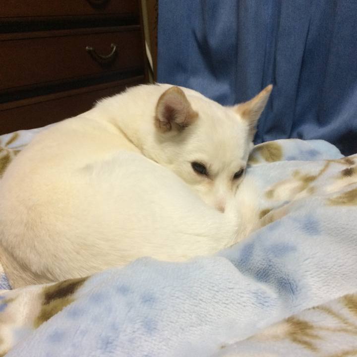 4b34d5f7 9ed9 476f a1c8 07eea4d5151c