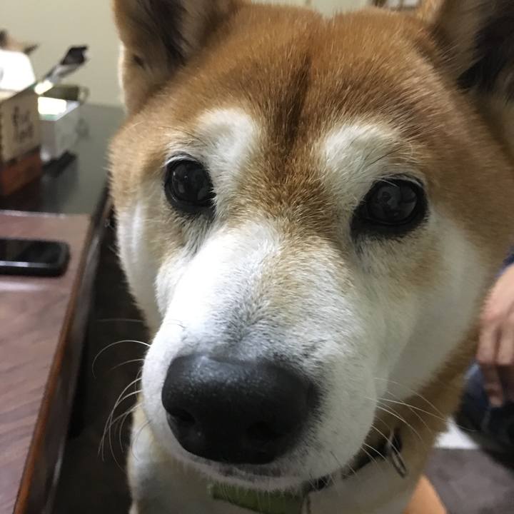 4b34e534 9aaf 476f 86c9 3b5165ad642c