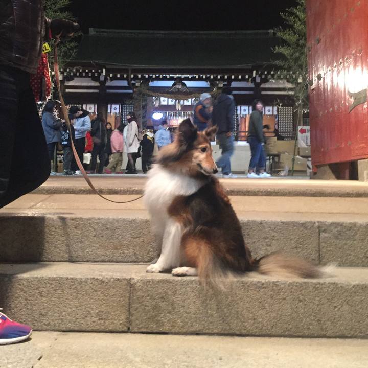 4b354a60 0b97 4326 9293 6b63fc826aff