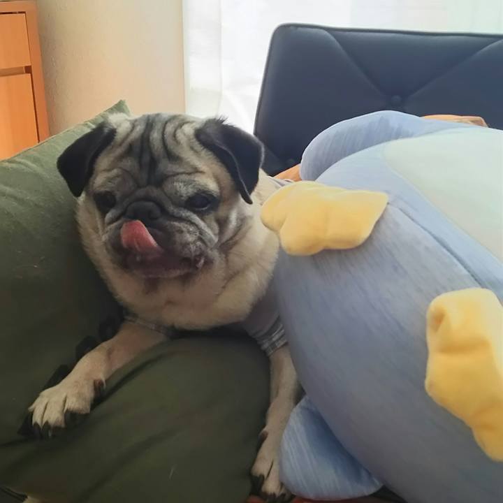 4b362d66 42a6 46e6 8369 24a9d7991529