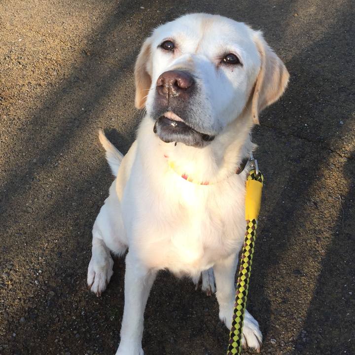 4b365fef 0f39 459d 8014 dc9e68342499