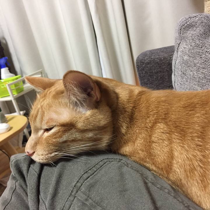 4b3688d7 3953 4894 971b e230f442d7ca