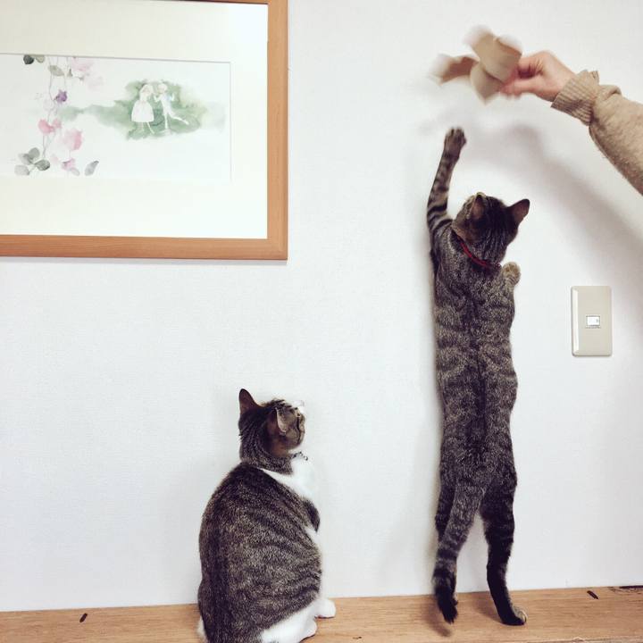 4b370d3d e17e 4e27 9ce4 a92ab800a26a